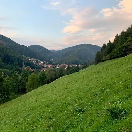 Apartament Gemuetliches Mit Kamin Und Wohnkueche