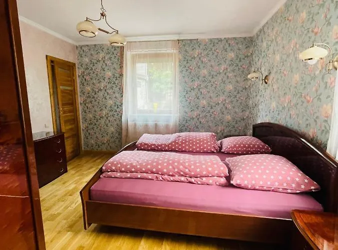 Gemuetliches Mit Kamin Und Wohnkueche 아파트 헤르츠베르크암하르츠