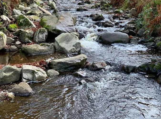 Gemuetliches Mit Kamin Und Wohnkueche شقة *