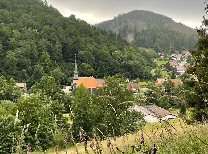 Gemuetliches Mit Kamin Und Wohnkueche شقة
